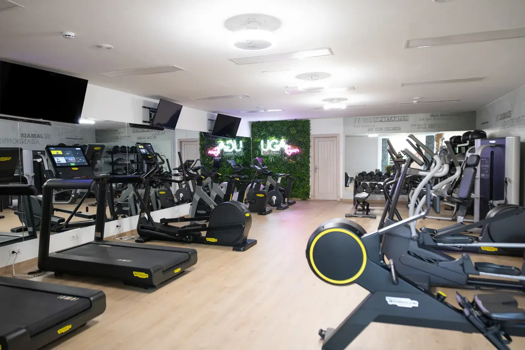 Wellness 4